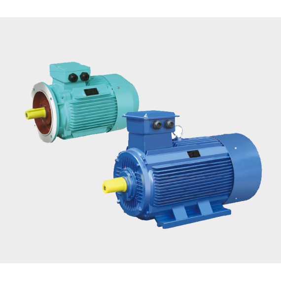 IE2Y2 series three-phase asynchronous motor