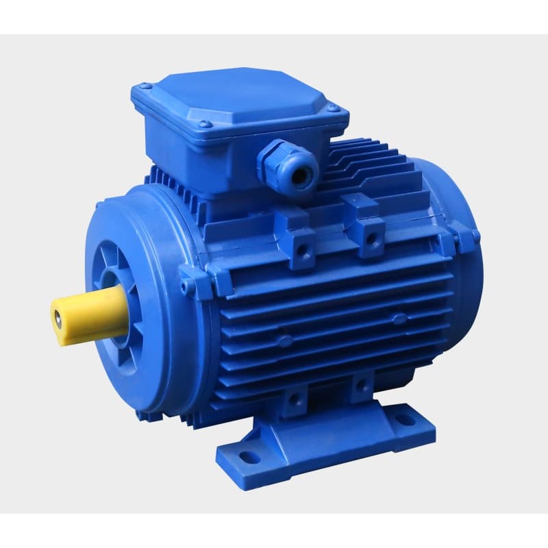 YE2/YS Aluminum Housed Motor